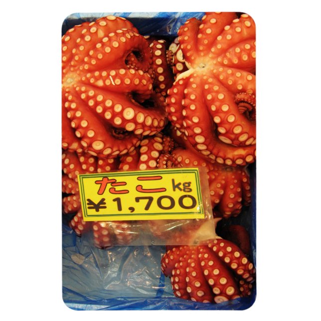 Imán Octopus Tako た こ mercado de pescado de Tsukiji, To (Vertical)