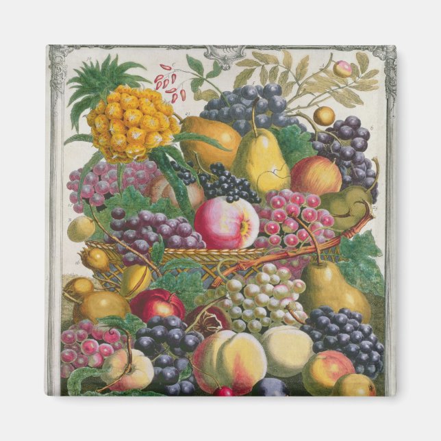 Imán Octubre, de los "Doce meses de frutas" (Frente)