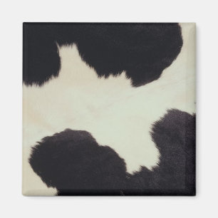 Imán Ocultar vaca