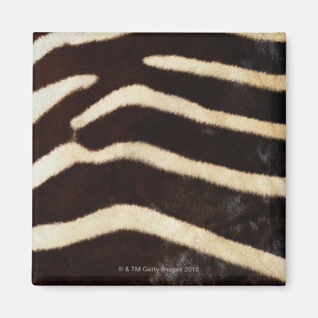 Imán Ocultar zebra (Frente)