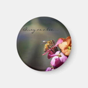 Imán Ocupado como recompensa de Bee...