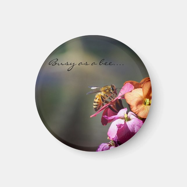 Imán Ocupado como recompensa de Bee... (Frente)