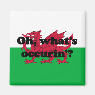 Imán ¿"Oh, cuál es occurin"? '