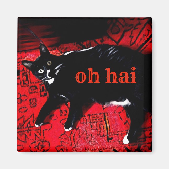 Imán Oh Hai Cat Magnet (Frente)