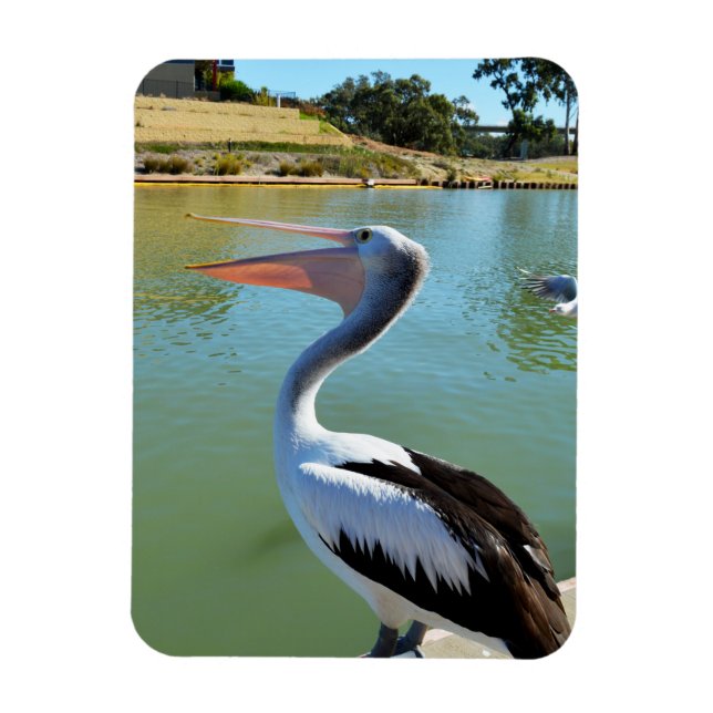 Imán Oh, Soy Un Feliz Pelican Tra Lah, Magnet (Vertical)