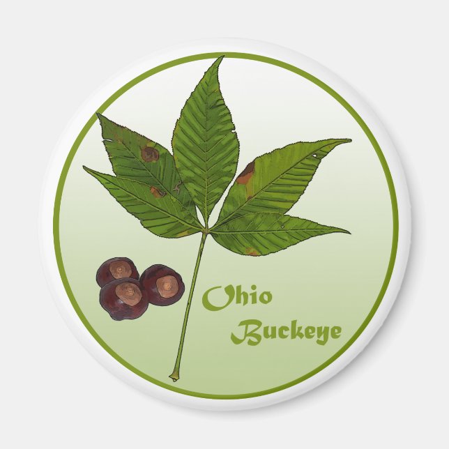 Imán Ohio Buckeye Tree (Frente)
