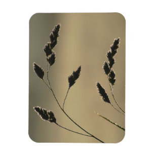 Imán Oído de hierba húmeda