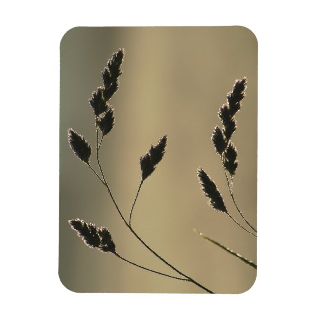 Imán Oído de hierba húmeda (Vertical)