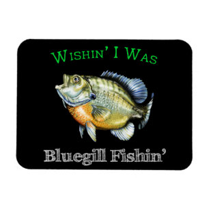 Imán Ojalá Fuera Bluegill Fishin