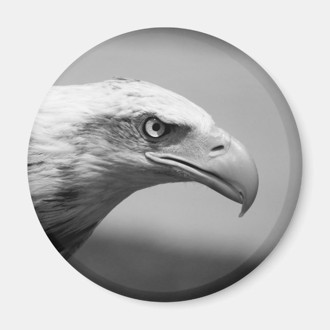 Imán Ojo de águila blanca y negra (Frente)