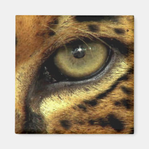 Imán OJO DE JAGUAR Big Cat Wildlife Magnet