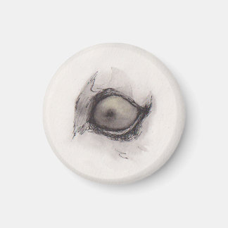 Imán Ojo de la Hiena – Colección de Miradas