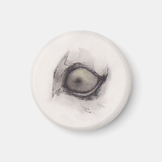 Imán Ojo de la Hiena – Colección de Miradas (Frente)
