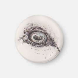 Imán Ojo de la oveja – Colección de Miradas