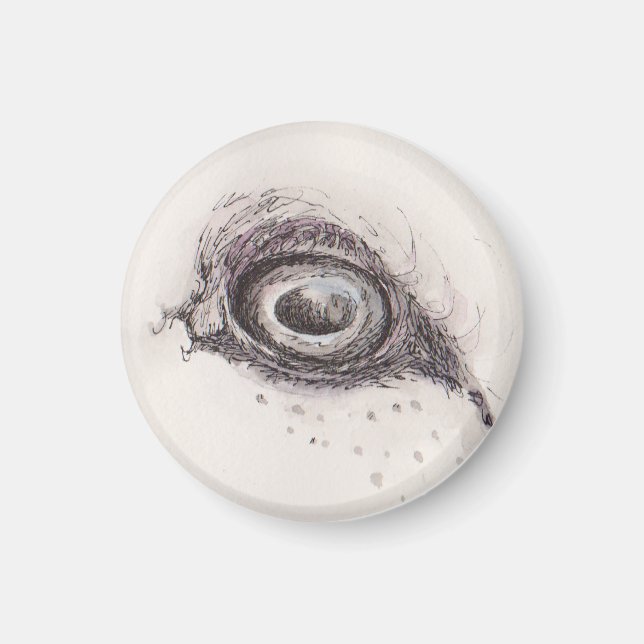 Imán Ojo de la oveja – Colección de Miradas (Frente)