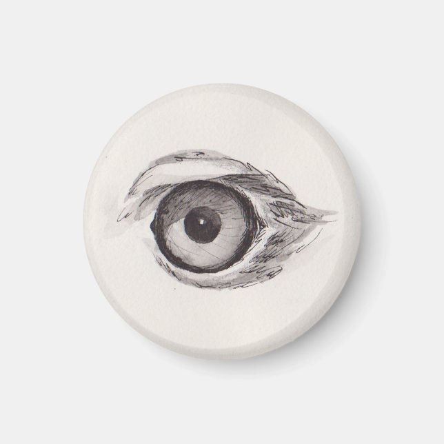 Imán Ojo del Águila – Colección de Miradas (Frente)