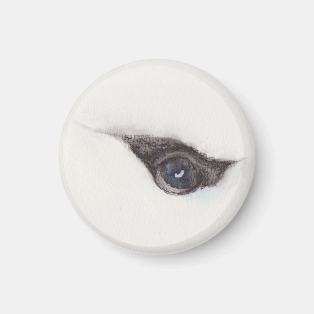 Imán Ojo del Albatros – Colección de Miradas (Frente)