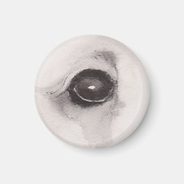 Imán Ojo del Oso – Colección de Miradas
