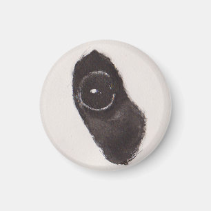 Imán Ojo del Panda – Colección de Miradas