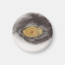 Ojo del Pingüino – Colección de Miradas