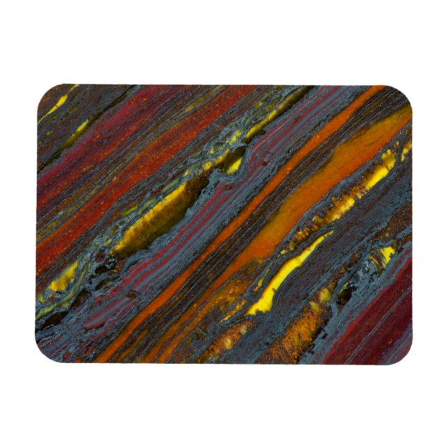 Imán Ojo tigre australiano a rayas (Horizontal)