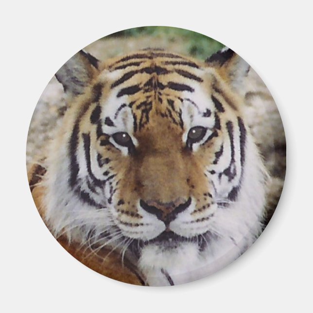 Imán Ojo vigilante (Frente)