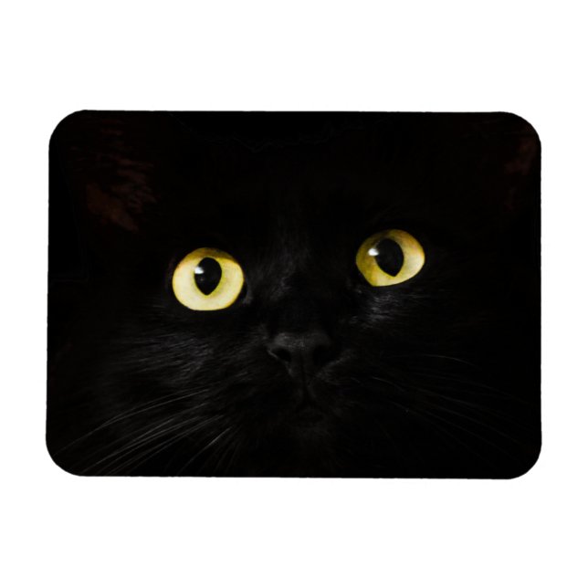 Imán Ojos de gato amarillo, gato negro, fondo negro (Horizontal)