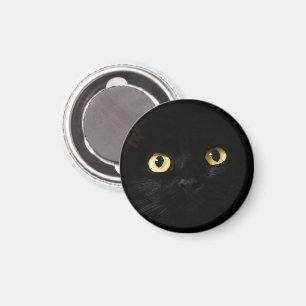 Imán Ojos de gato amarillo, gato negro, fondo negro