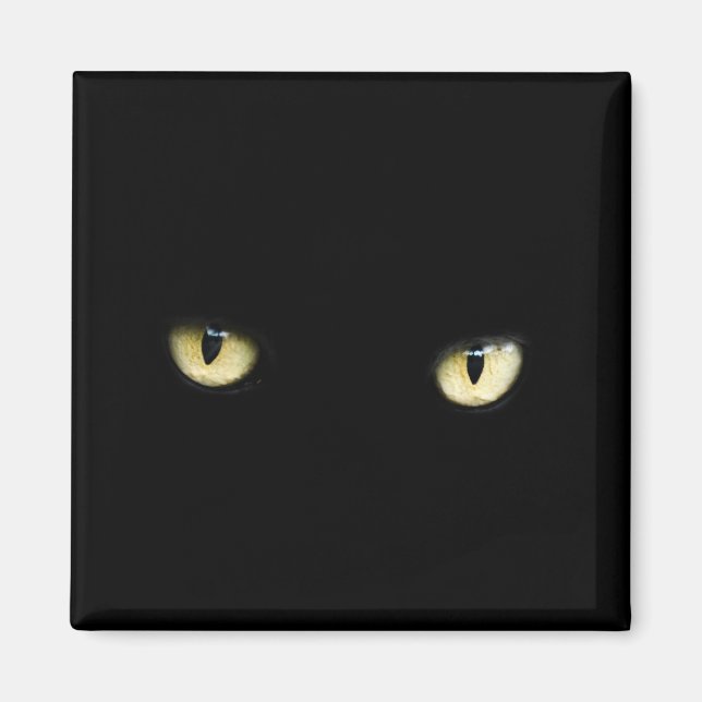 Imán Ojos de gato negros | Macro De Ojo De Gato (Frente)