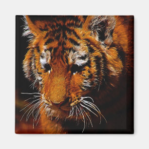 Imán Ojos de tigres