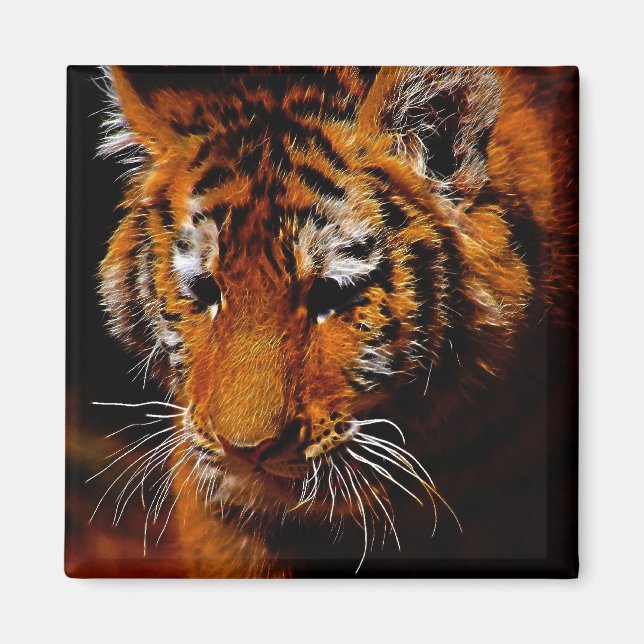 Imán Ojos de tigres (Frente)