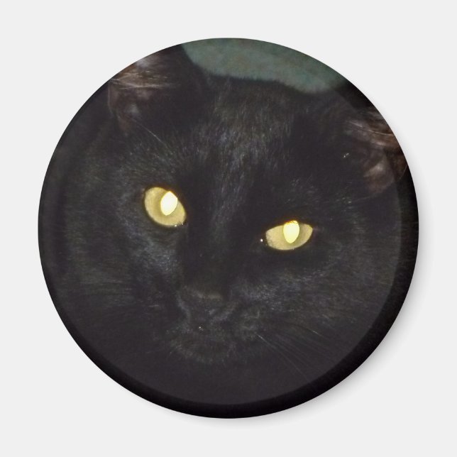 Imán Ojos dorados (Frente)