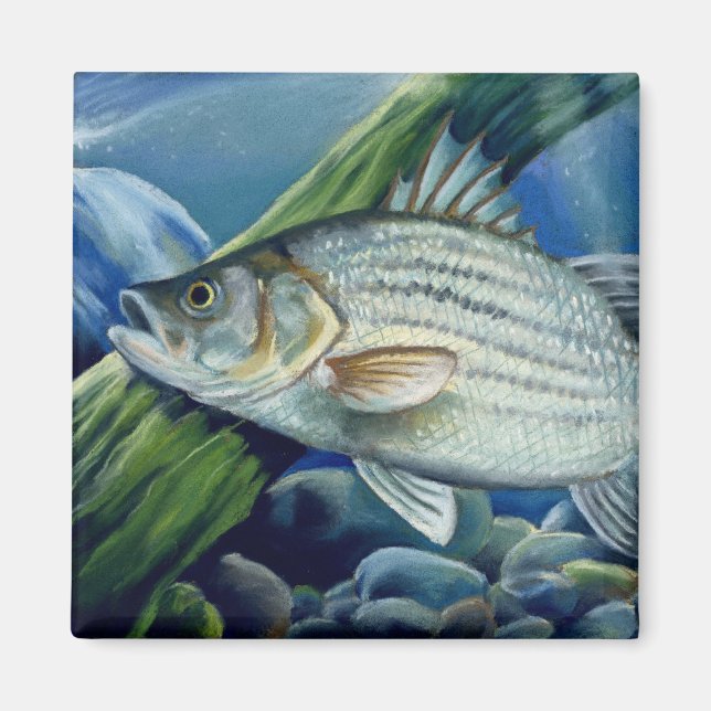 Imán OK 2008 Bowles 1036 alto (Frente)