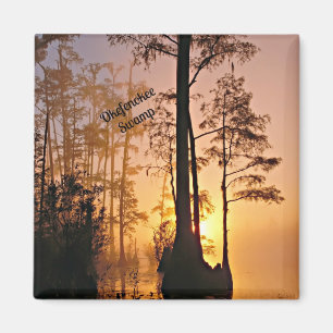 Imán Okefenokee Swamp