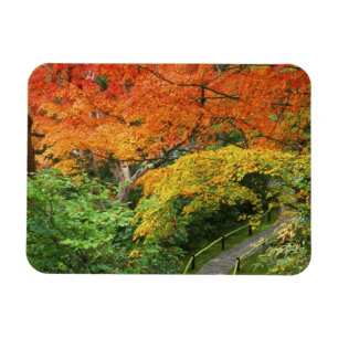 Imán Okochi Sanso, Arashiyama, Kyoto, Japón 2