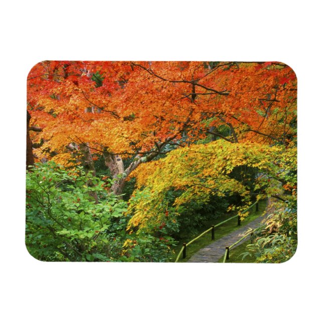 Imán Okochi Sanso, Arashiyama, Kyoto, Japón 2 (Horizontal)