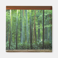 Okochi Sanso, Arashiyama, Kyoto, Japón 3