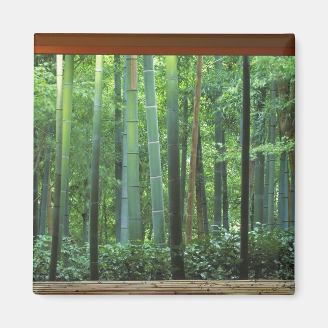 Imán Okochi Sanso, Arashiyama, Kyoto, Japón 3 (Frente)