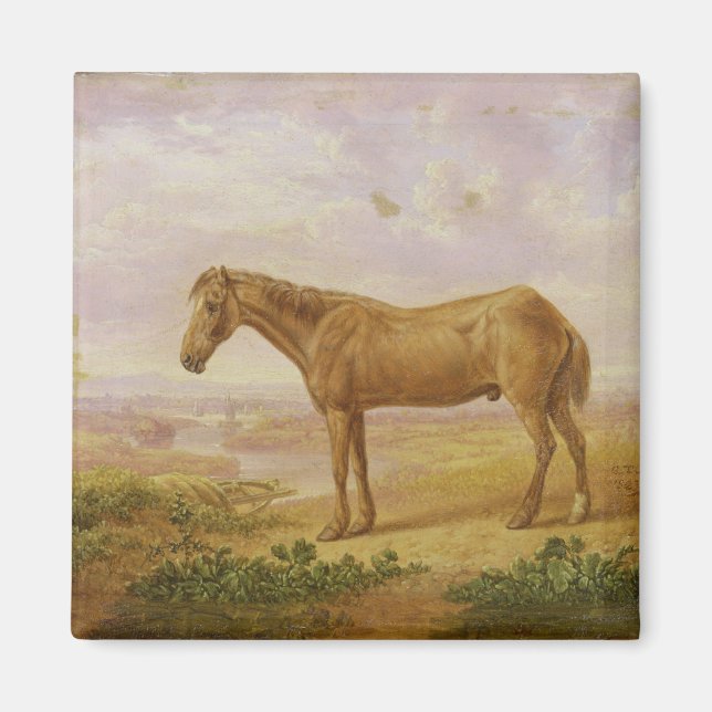 Imán Old Billy, un Caballo Borrador, 62 años (petróleo  (Frente)