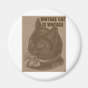 Imán Olde LOLcat