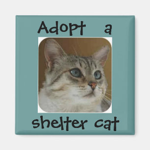 Imán Ole Blue Eyes Magnet