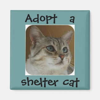 Imán Ole Blue Eyes Magnet