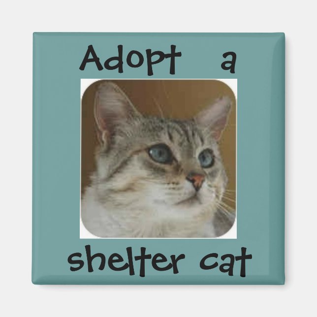 Imán Ole Blue Eyes Magnet (Frente)