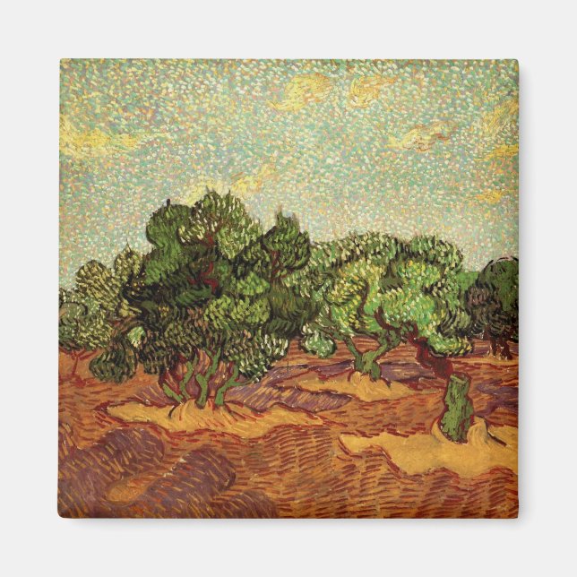 Imán Olive Grove, cielo azul pálido de Vincent van Gogh (Frente)