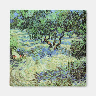 Imán Olive Grove de Vincent van Gogh