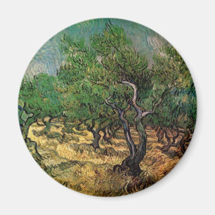 Imán Olive Grove de Vincent van Gogh