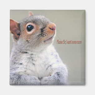 Imán Oliver Twist Squirrel