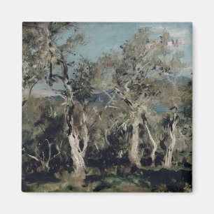 Imán Olives, Corfú, 1912