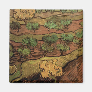 Imán Olivos de Van Gogh contra la ladera de una colina