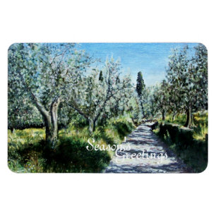 IMÁN OLIVOS EN RIMAGGIO TUSCANY